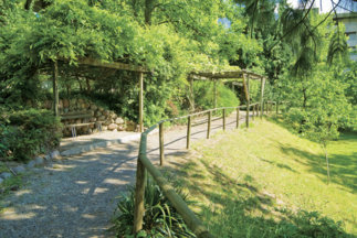 Die Parkanlage 