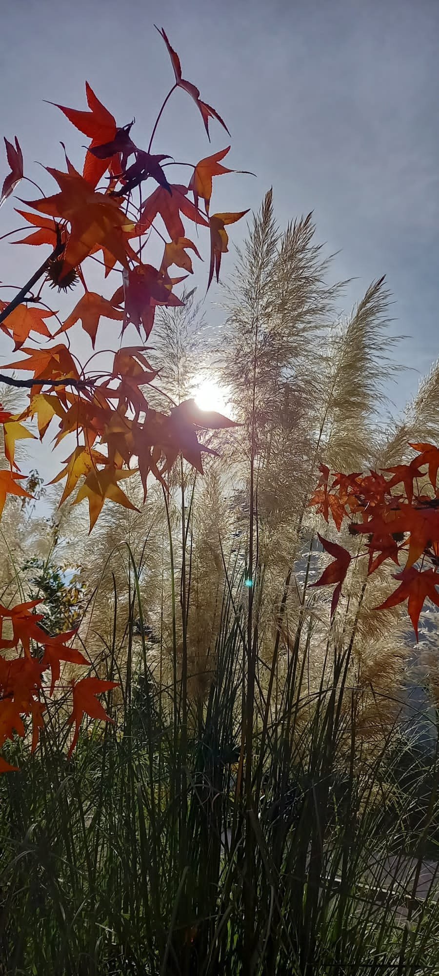 Herbst im Blindenzentrum
