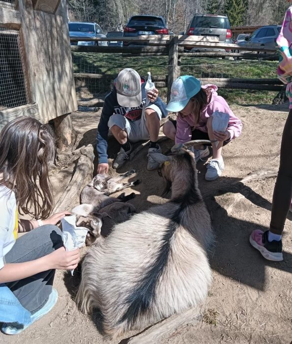 Drei Kinder streicheln eine Ziege und ihre Jungen. Tre bambini accarezzano una capra e i suoi cuccioli.