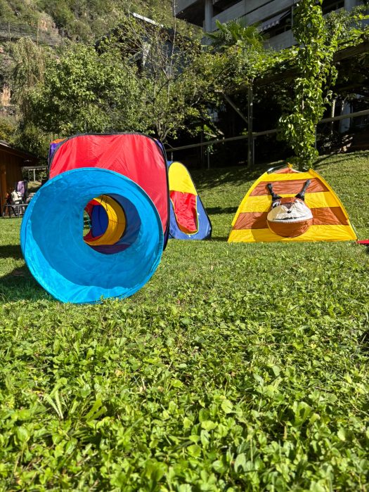 Bunte Spielzelte und ein hellblauer Tunnel auf dem Rasen