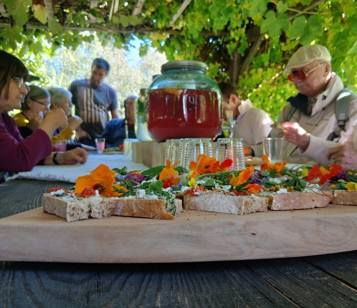 Brotscheiben mit Frischkäse, Kräutern und essbaren Blüten auf einem Holzbrett, dahinter Gäste unter einer Weinlaube.