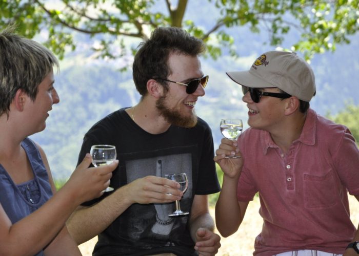 Drei Personen mit Sonnenbrillen lachen und stoßen mit Wassergläsern im Freien an.